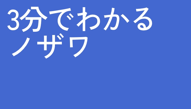 3分でわかるノザワ