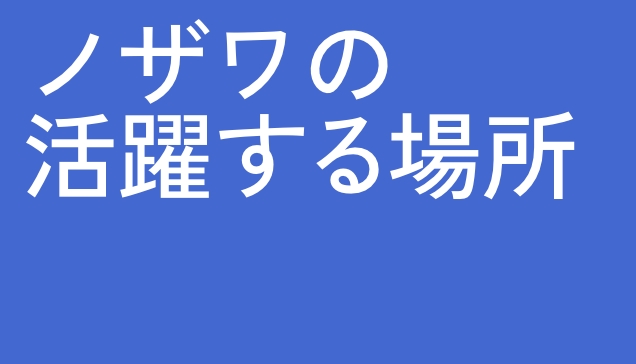 ノザワの活躍する場所