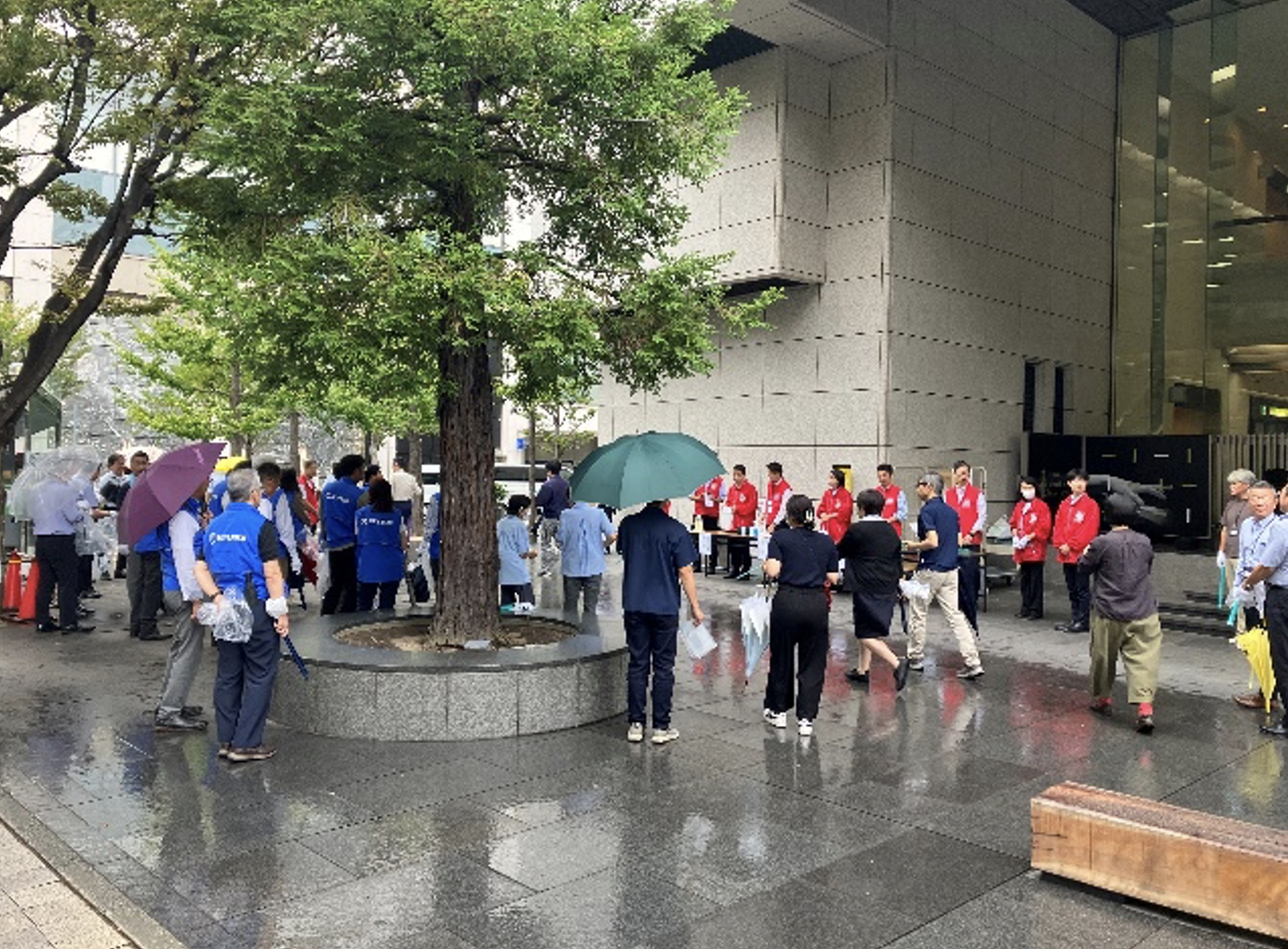 「クリーン作戦」に参加しました 写真1